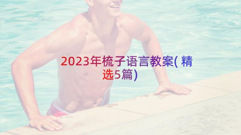 2023年梳子语言教案(精选5篇)