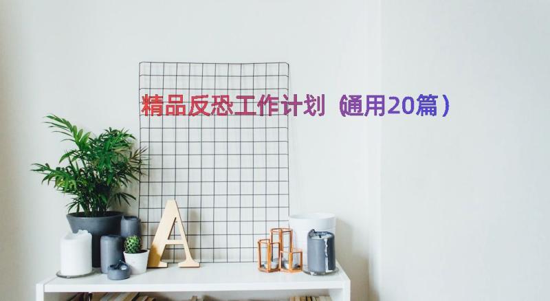 精品反恐工作计划（通用20篇）