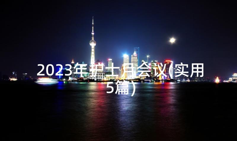 2023年护士月会议(实用5篇)