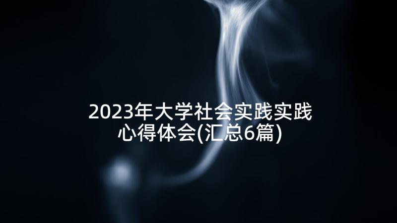 2023年大学社会实践实践心得体会(汇总6篇)