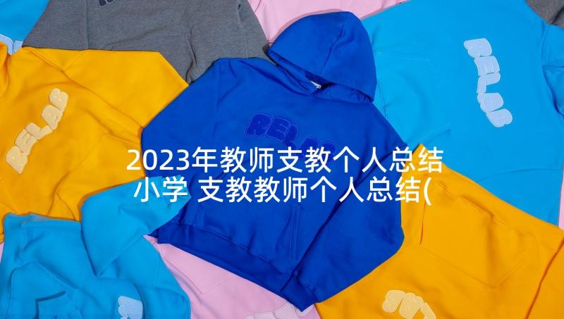 2023年教师支教个人总结小学 支教教师个人总结(大全6篇)