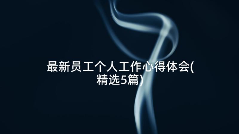 最新员工个人工作心得体会(精选5篇)