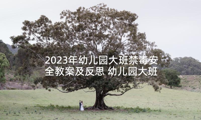 2023年幼儿园大班禁毒安全教案及反思 幼儿园大班交通安全教育教案及反思(模板5篇)