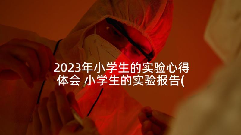 2023年小学生的实验心得体会 小学生的实验报告(实用8篇)