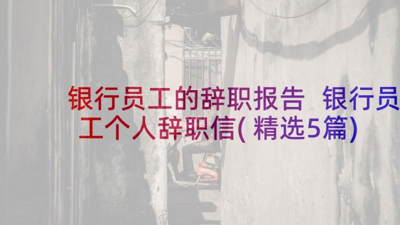 银行员工的辞职报告 银行员工个人辞职信(精选5篇)