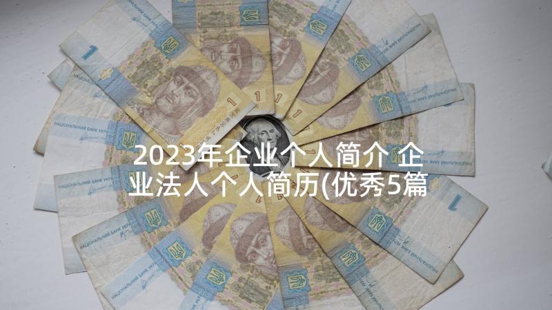 2023年企业个人简介 企业法人个人简历(优秀5篇)