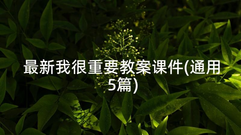 最新我很重要教案课件(通用5篇)