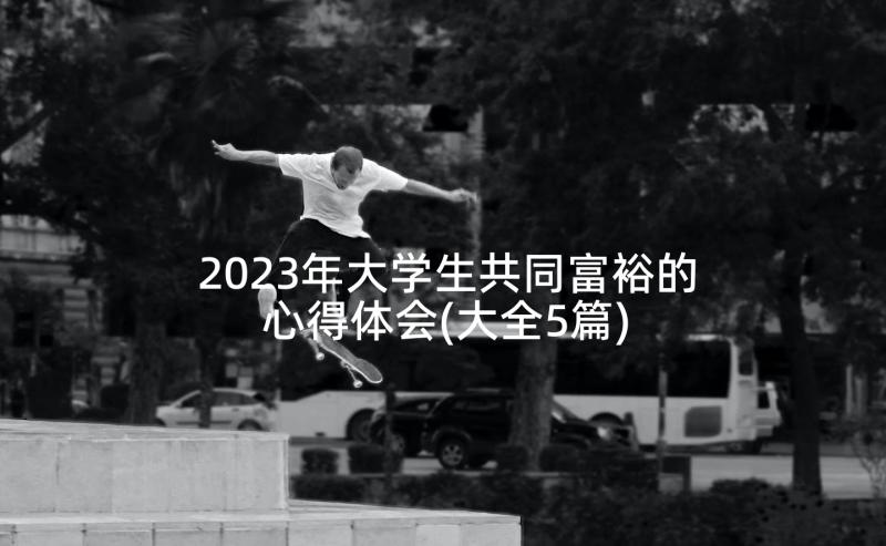 2023年大学生共同富裕的心得体会(大全5篇)