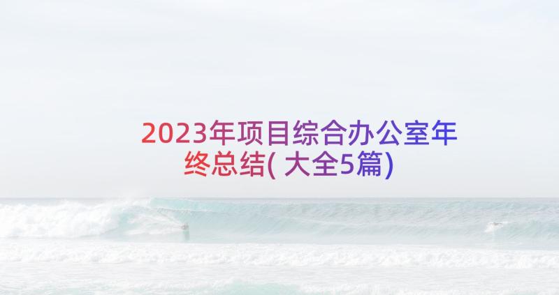 2023年项目综合办公室年终总结(大全5篇)