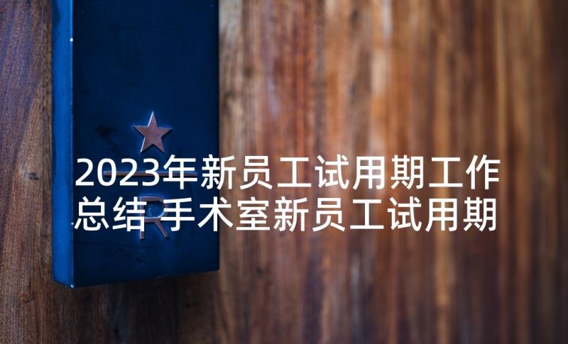 2023年新员工试用期工作总结 手术室新员工试用期总结报告(模板6篇)