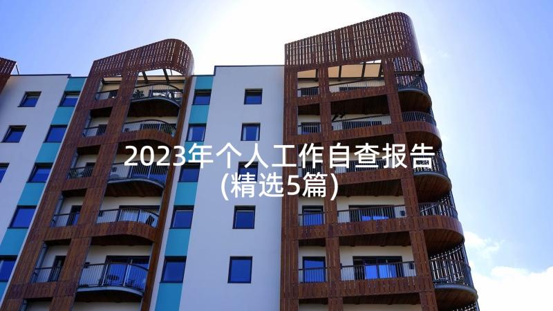 2023年个人工作自查报告(精选5篇)