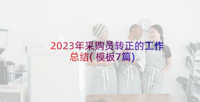 2023年采购员转正的工作总结(模板7篇)