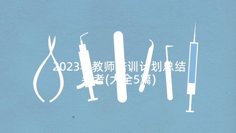 2023年教师培训计划总结参考(大全5篇)