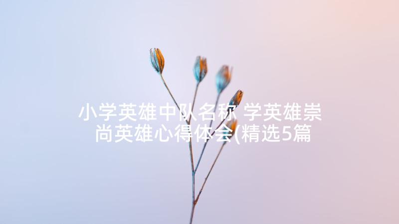 小学英雄中队名称 学英雄崇尚英雄心得体会(精选5篇)