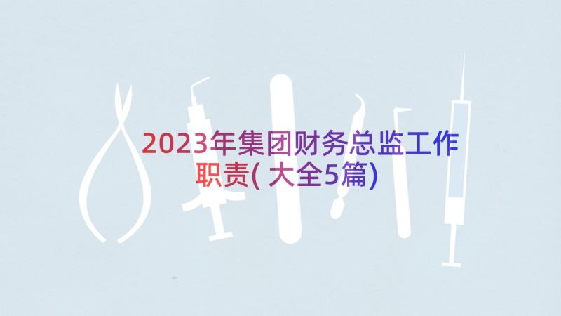 2023年集团财务总监工作职责(大全5篇)