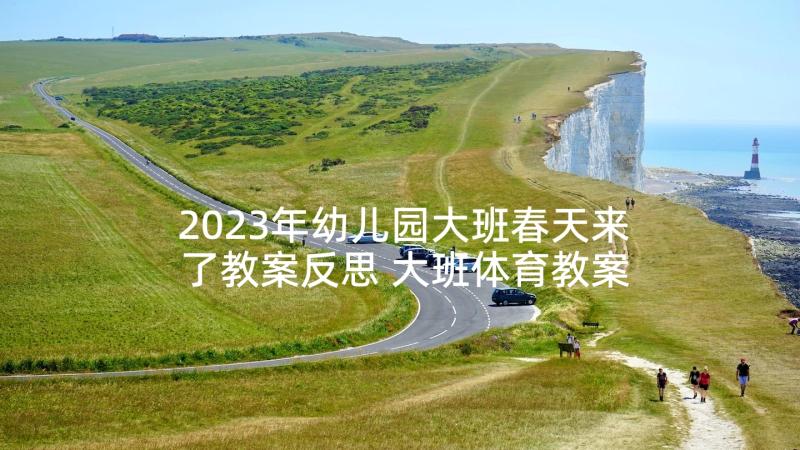 2023年幼儿园大班春天来了教案反思 大班体育教案活动反思(通用6篇)