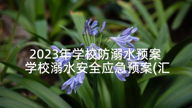 2023年学校防溺水预案 学校溺水安全应急预案(汇总10篇)