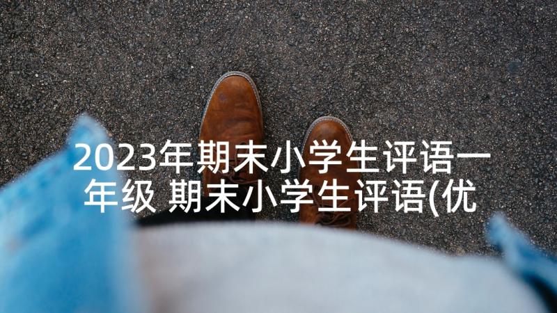 2023年期末小学生评语一年级 期末小学生评语(优秀7篇)