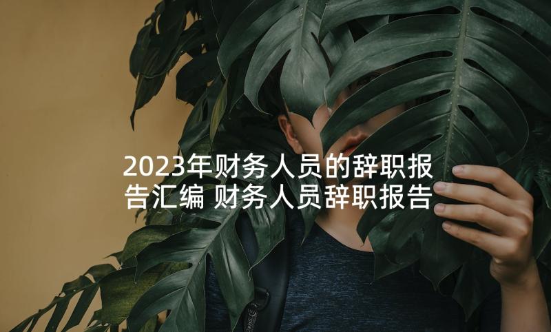 2023年财务人员的辞职报告汇编 财务人员辞职报告(精选9篇)