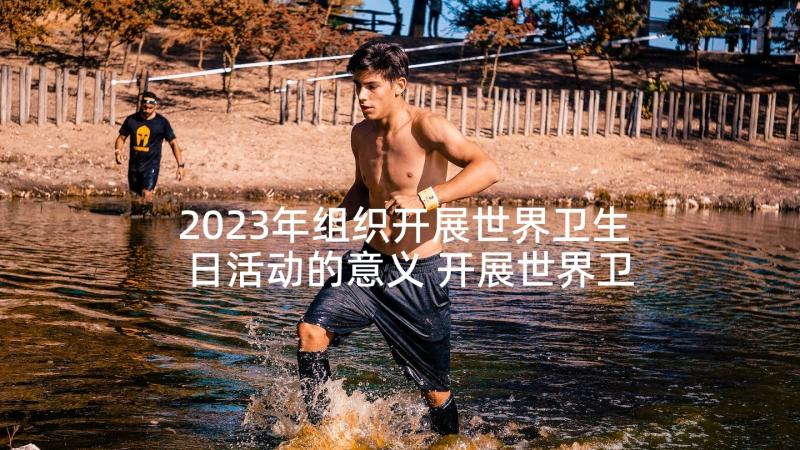 2023年组织开展世界卫生日活动的意义 开展世界卫生日活动总结(大全5篇)