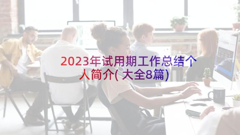 2023年试用期工作总结个人简介(大全8篇)