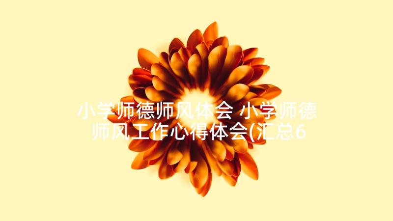 小学师德师风体会 小学师德师风工作心得体会(汇总6篇)