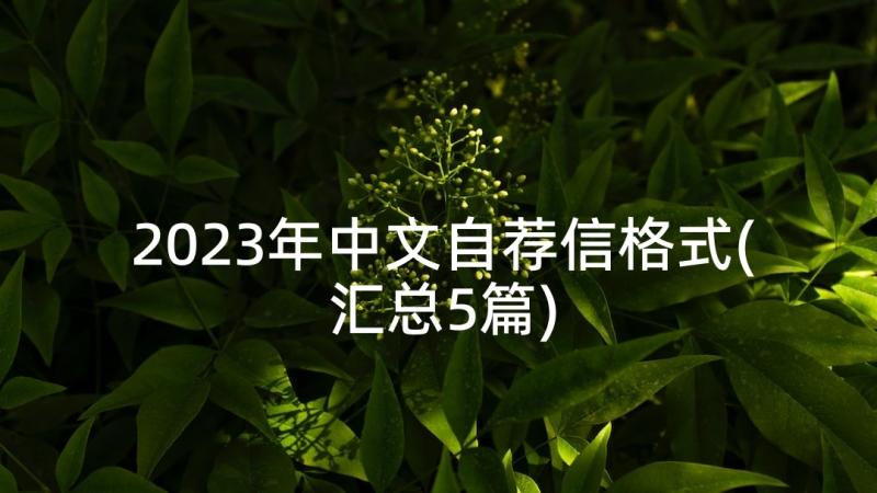 2023年中文自荐信格式(汇总5篇)