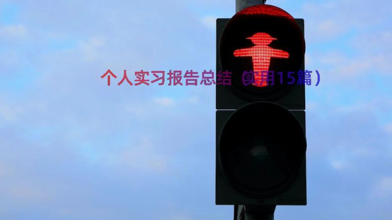 个人实习报告总结（实用15篇）