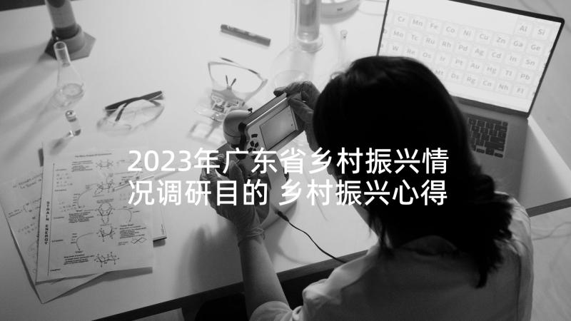 2023年广东省乡村振兴情况调研目的 乡村振兴心得体会短篇(实用7篇)