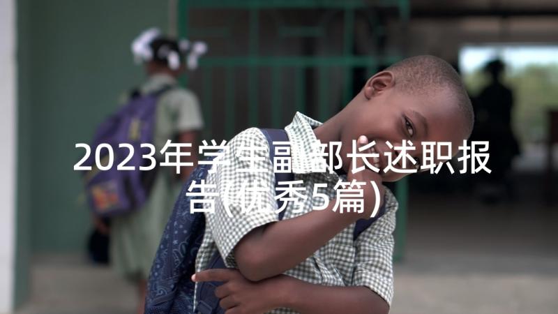 2023年学生副部长述职报告(优秀5篇)