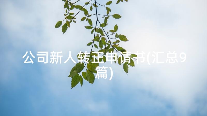 公司新人转正申请书(汇总9篇)