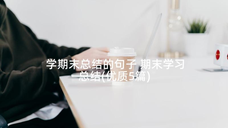 学期末总结的句子 期末学习总结(优质5篇)