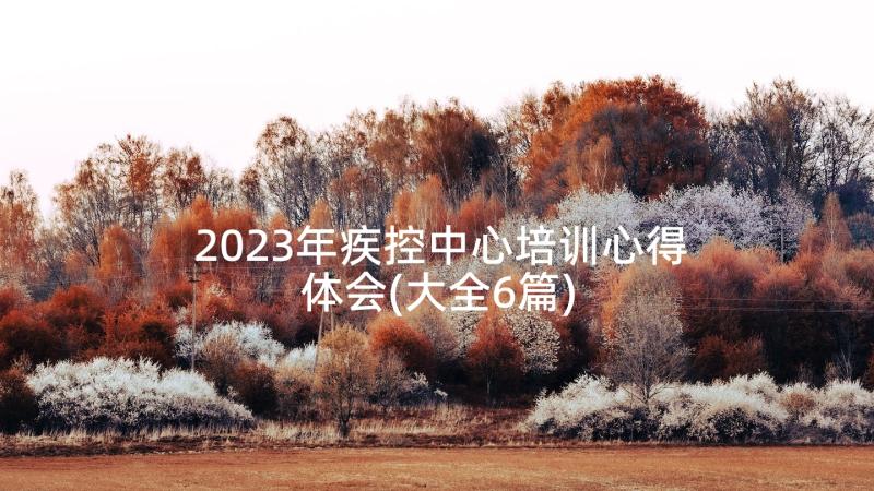 2023年疾控中心培训心得体会(大全6篇)