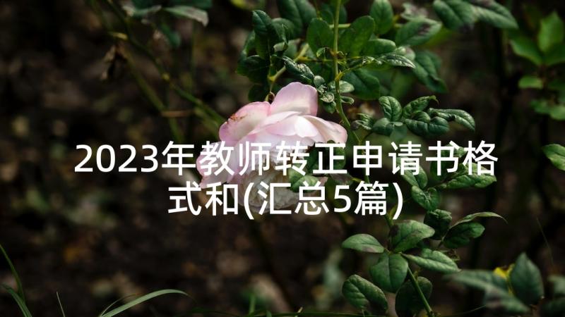 2023年教师转正申请书格式和(汇总5篇)