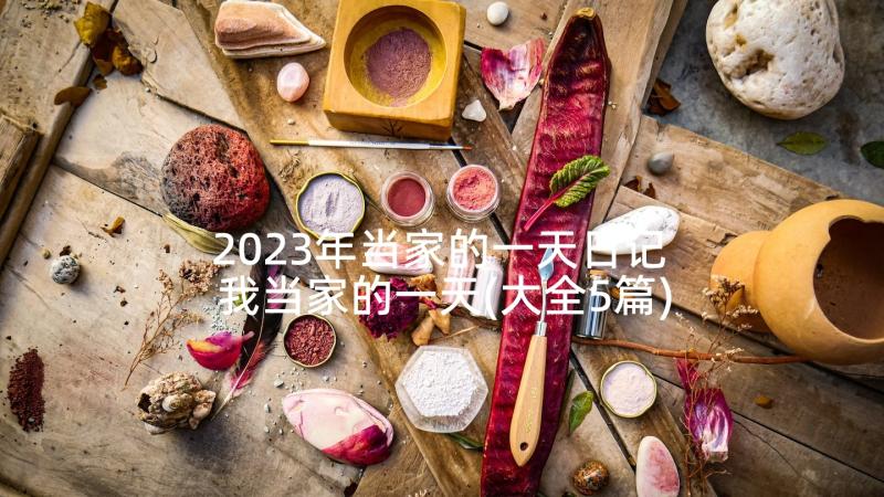 2023年当家的一天日记 我当家的一天(大全5篇)