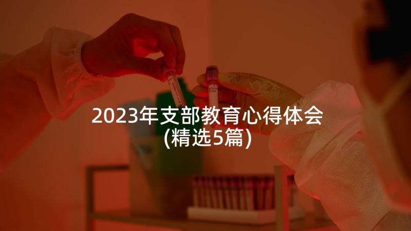 2023年支部教育心得体会(精选5篇)