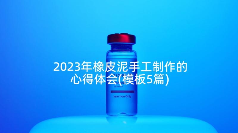 2023年橡皮泥手工制作的心得体会(模板5篇)