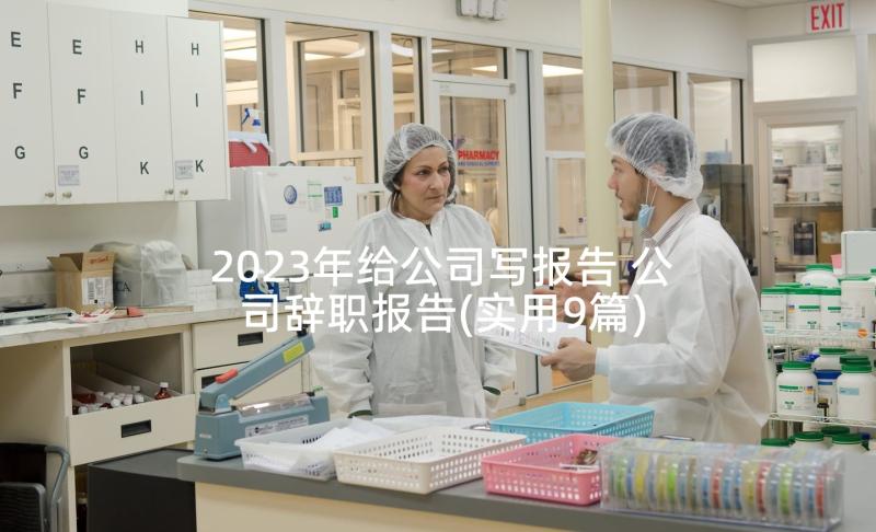 2023年给公司写报告 公司辞职报告(实用9篇)