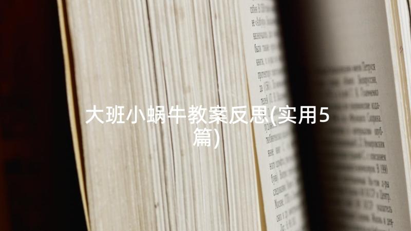 大班小蜗牛教案反思(实用5篇)