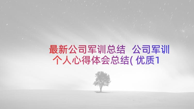 最新公司军训总结 公司军训个人心得体会总结(优质10篇)