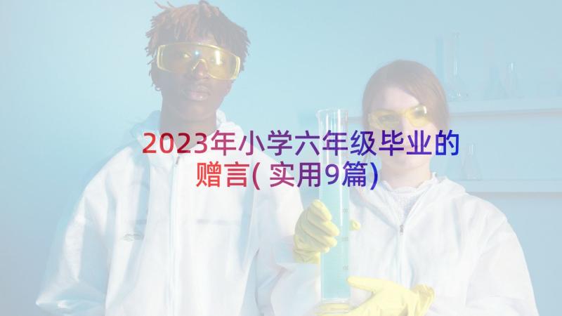 2023年小学六年级毕业的赠言(实用9篇)