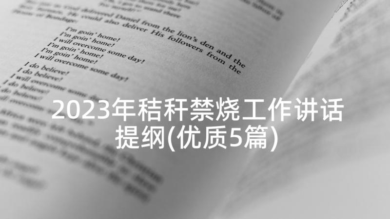 2023年秸秆禁烧工作讲话提纲(优质5篇)