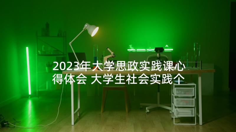 2023年大学思政实践课心得体会 大学生社会实践个人心得体会(实用5篇)