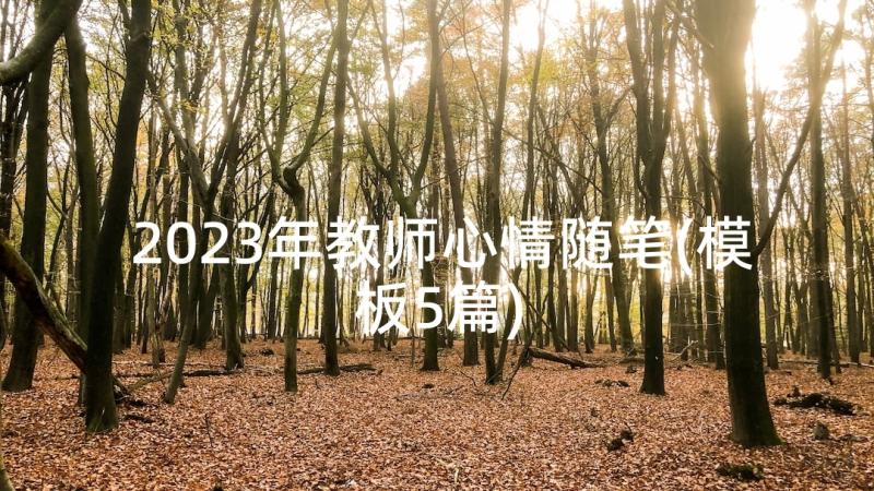 2023年教师心情随笔(模板5篇)