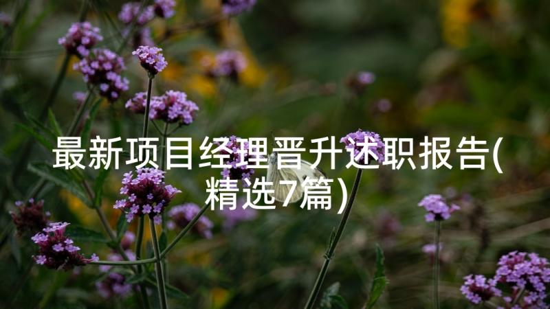 最新项目经理晋升述职报告(精选7篇)