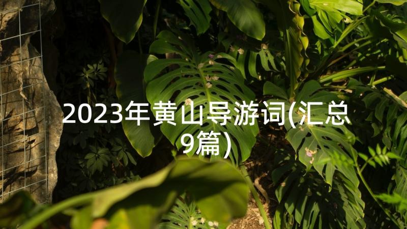 2023年黄山导游词(汇总9篇)