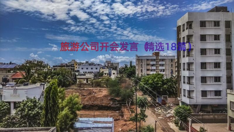 旅游公司开会发言（精选18篇）