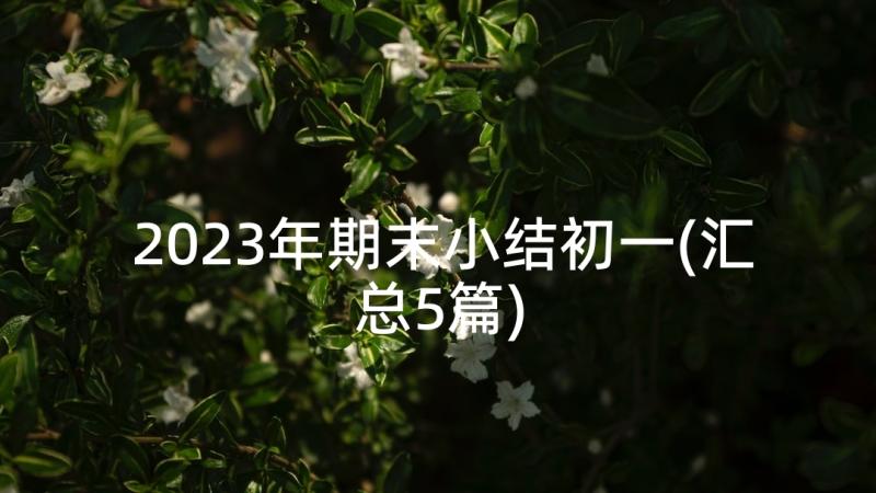 2023年期末小结初一(汇总5篇)