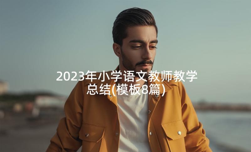 2023年小学语文教师教学总结(模板8篇)