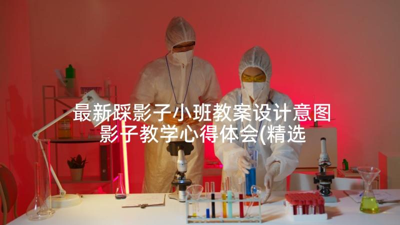 最新踩影子小班教案设计意图 影子教学心得体会(精选10篇)